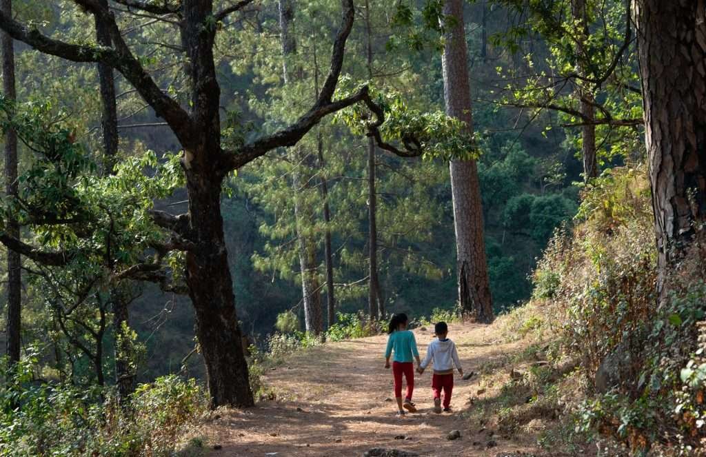 children spending time with nature at Fagunia Farmstay, an eco-friendly homestay near Nainital