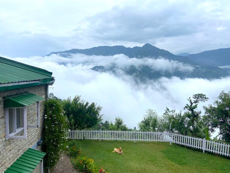 Pawsome Getaways 5 Pet Friendly Homestays in Nainital Fagunia