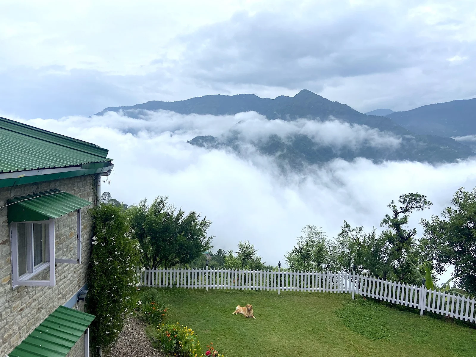 Pet friendly homestay Nainital