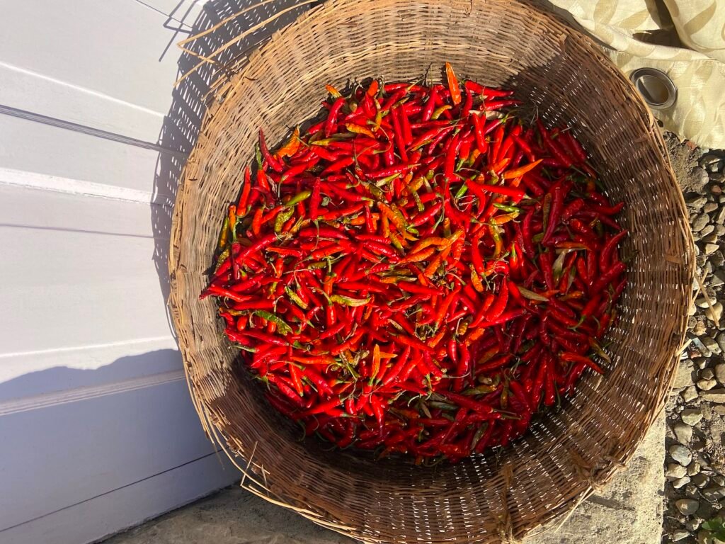 Chillies3 Chillies3