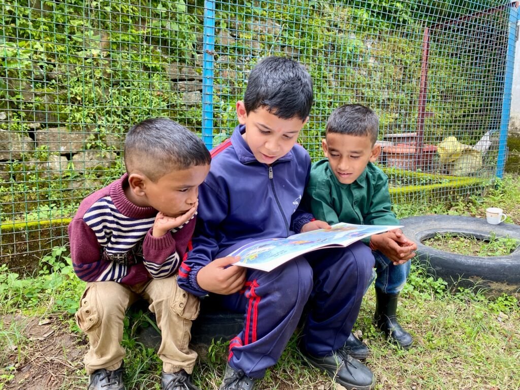 Fagunia Foundation Curricular activity