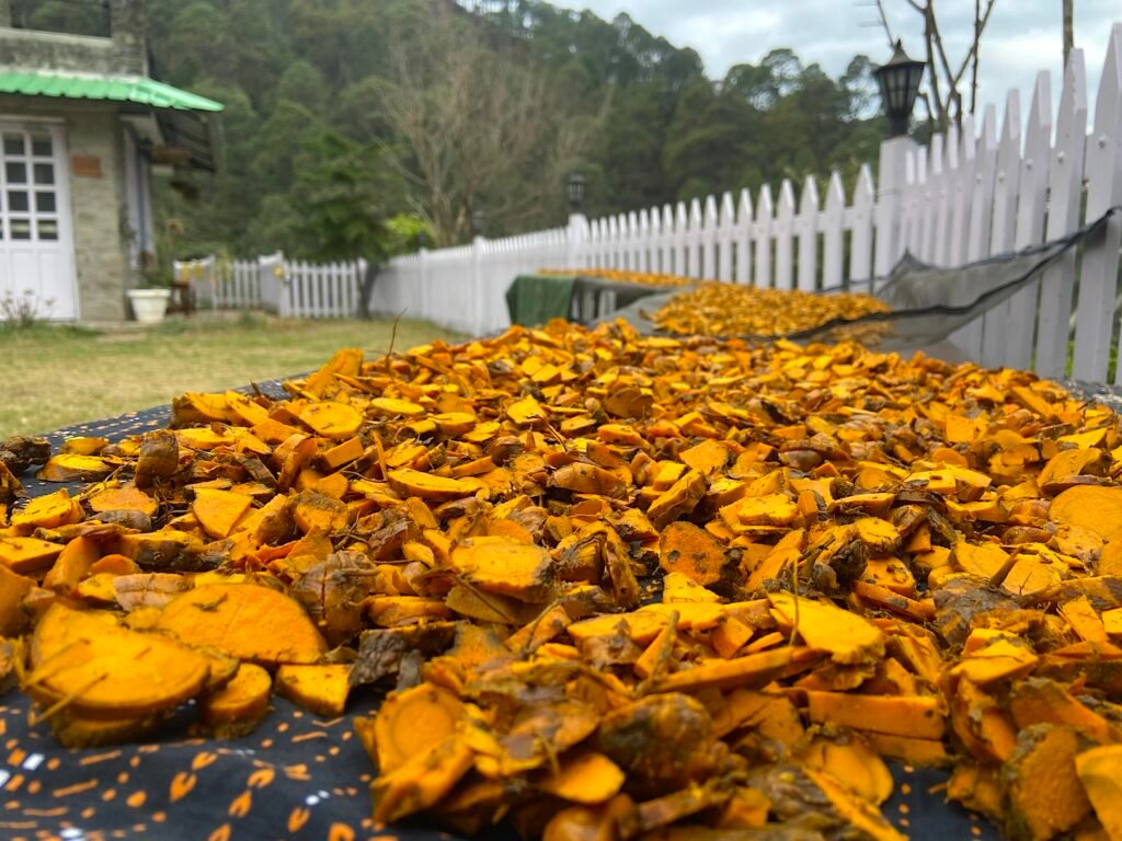 Turmeric3