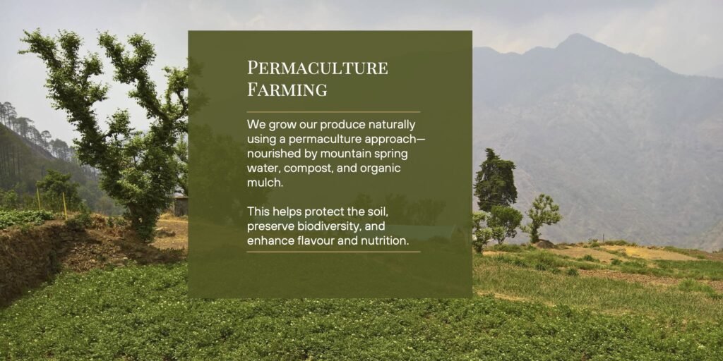 Fagunia Microlots Shop Permaculture Farm