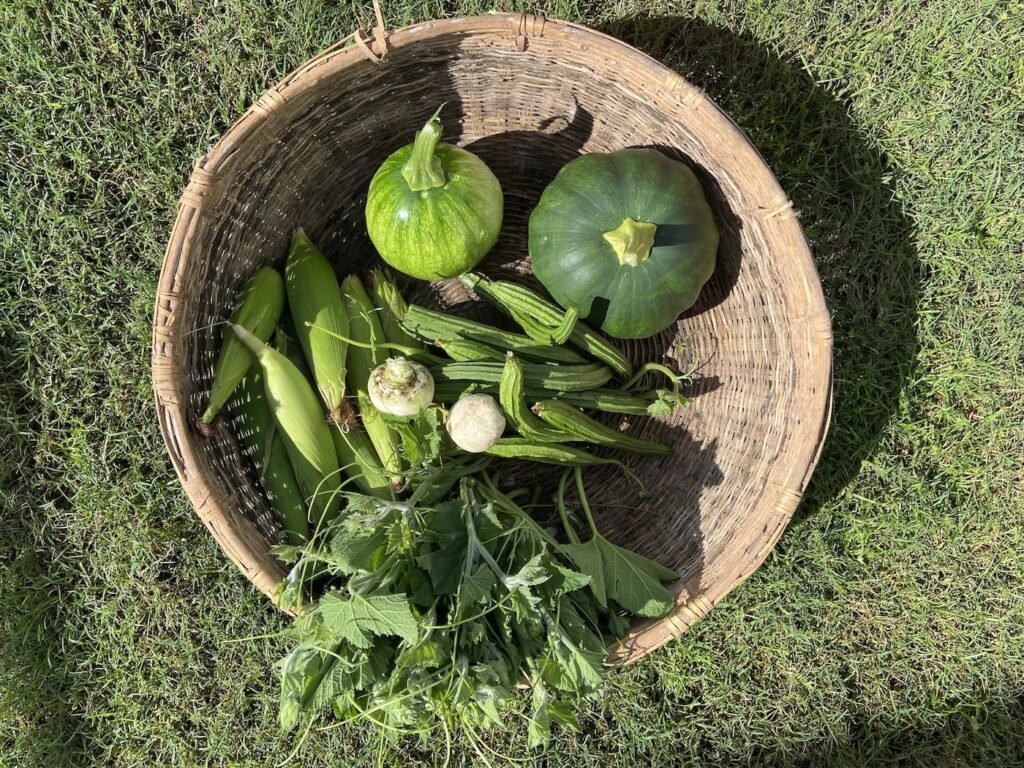 permaculture farm harvest in a homestay in Nainital, India