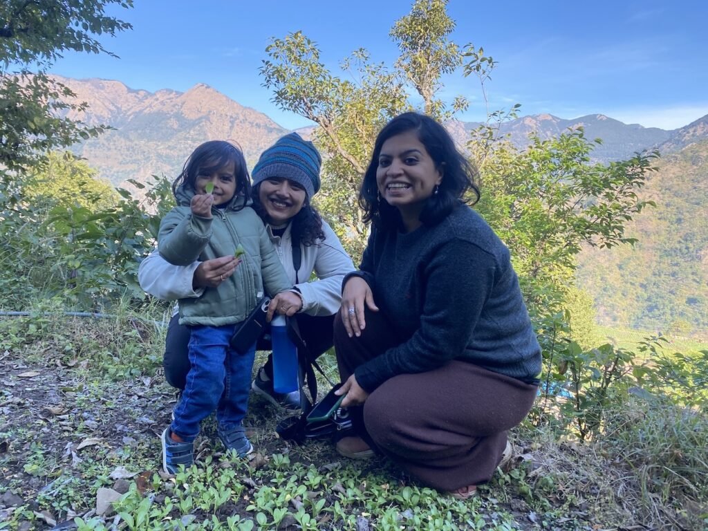 Guests harvesting bokchoy on homestay farm in Nainital Uttarakhand
