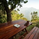 Book reading nook in a Himalayan homestay in Nainital India